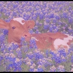 Meet your Posher, Marta